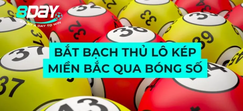 Bắt bạch thủ lô kép miền bắc qua bóng số