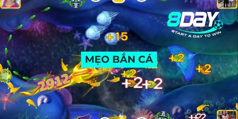 meo-ban-ca