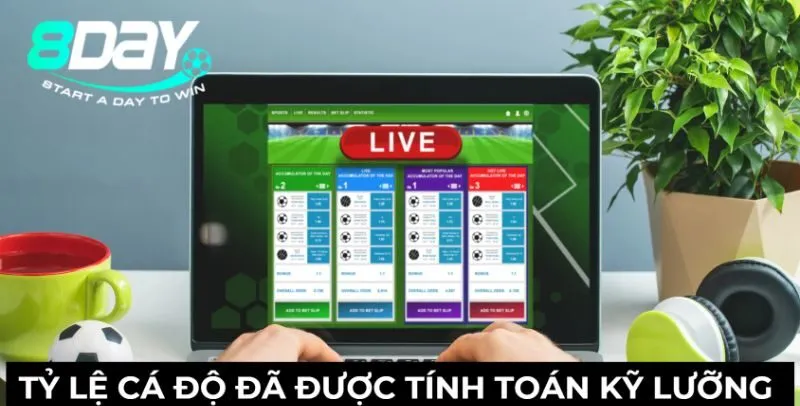 Tỷ lệ cá độ đã được tính toán kỹ lưỡng 